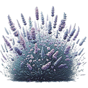 GL-element34