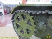 IMG-9772