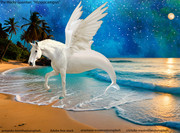 T2 - The Whacky Guardian - Hippocampus