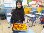 2e2ff1ec-1288-4b1e-b162-d0881841ae63