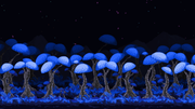 Mushroom Forest