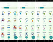 Polish 20260117 001424428