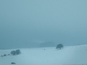 21 - On aime l'hiver, on n'aime pas ce qu'il fait ressentir