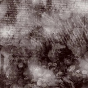 Tumblr l 502297454264742