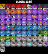 gliders-comp