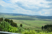 DSC-0432