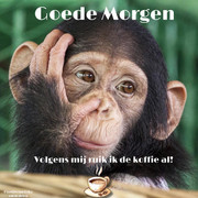 86727-A27-A6-D8-4-DCE-9-BE1-6-A759-C9-AA8-D7