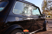 IMG-7337