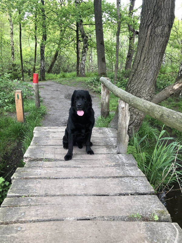 034E6CA2-18A8-4F5F-8FD4-21E7F915D7F6