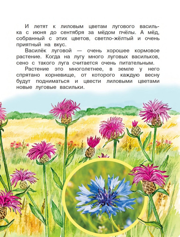 Onegov-Anatolij-Pochemu-kukushka-slozki-lot-page-0030