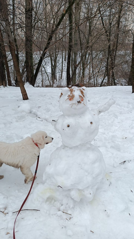 0710B253-A6EE-4C4B-9371-310B697E5386