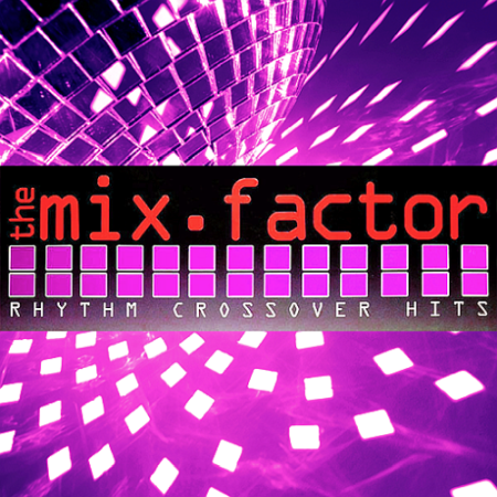 VA - Mix Factor Volume 08-09 (Strictly Hits Vinyl Service: Vinyl, Compilation, Remix Service)