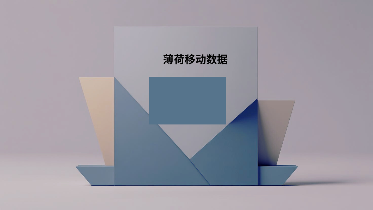 薄荷移动数据