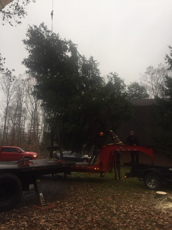 97D75C8E-1BEA-41B2-8ECF-3809D0953FB2