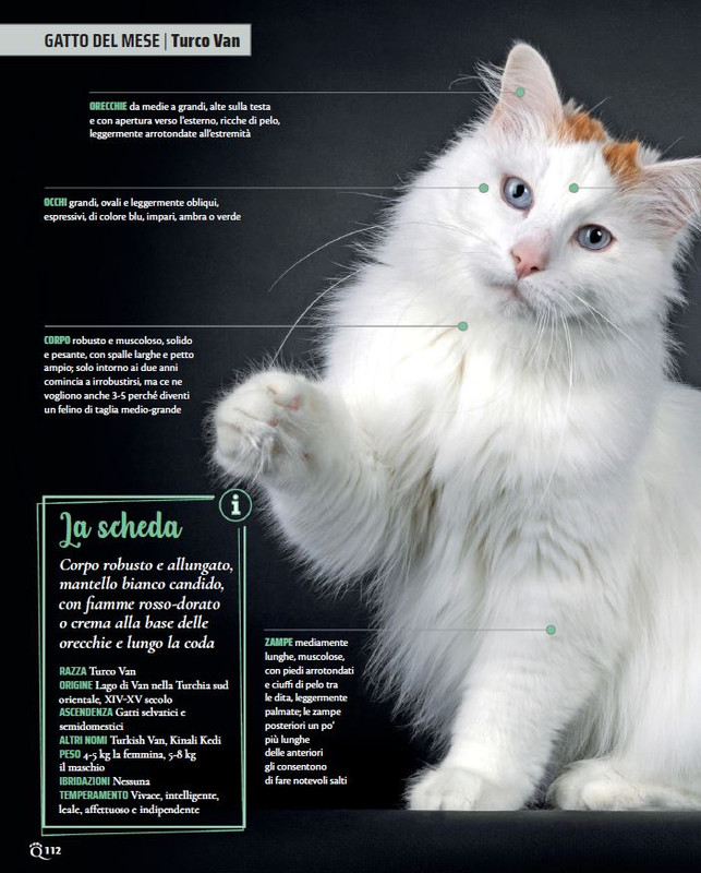 QuattroZampe Mag 2022 (9)