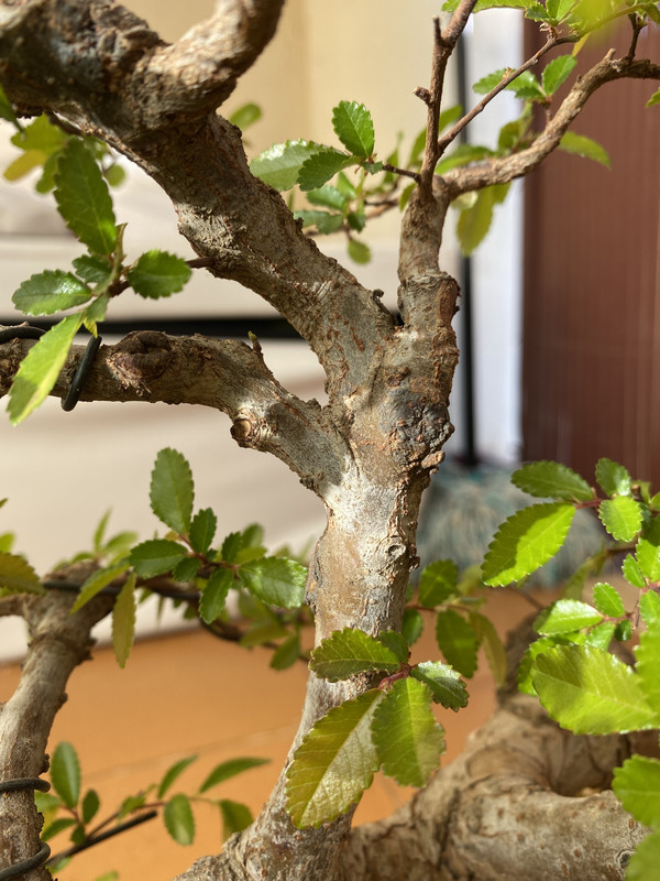 4E46794A-753A-4F54-AAC5-AF1186CBAD39