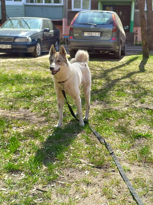 IMG-a5231070de49a52b87fd68aa355b655f-V