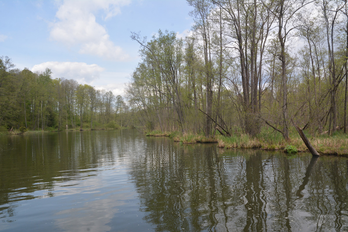 11.21 - DSC_6131 (Ater)