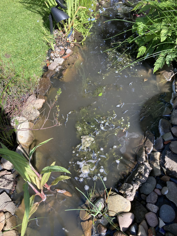 758ED6B9-FAC0-48F4-952F-E7BCA2CD40C5