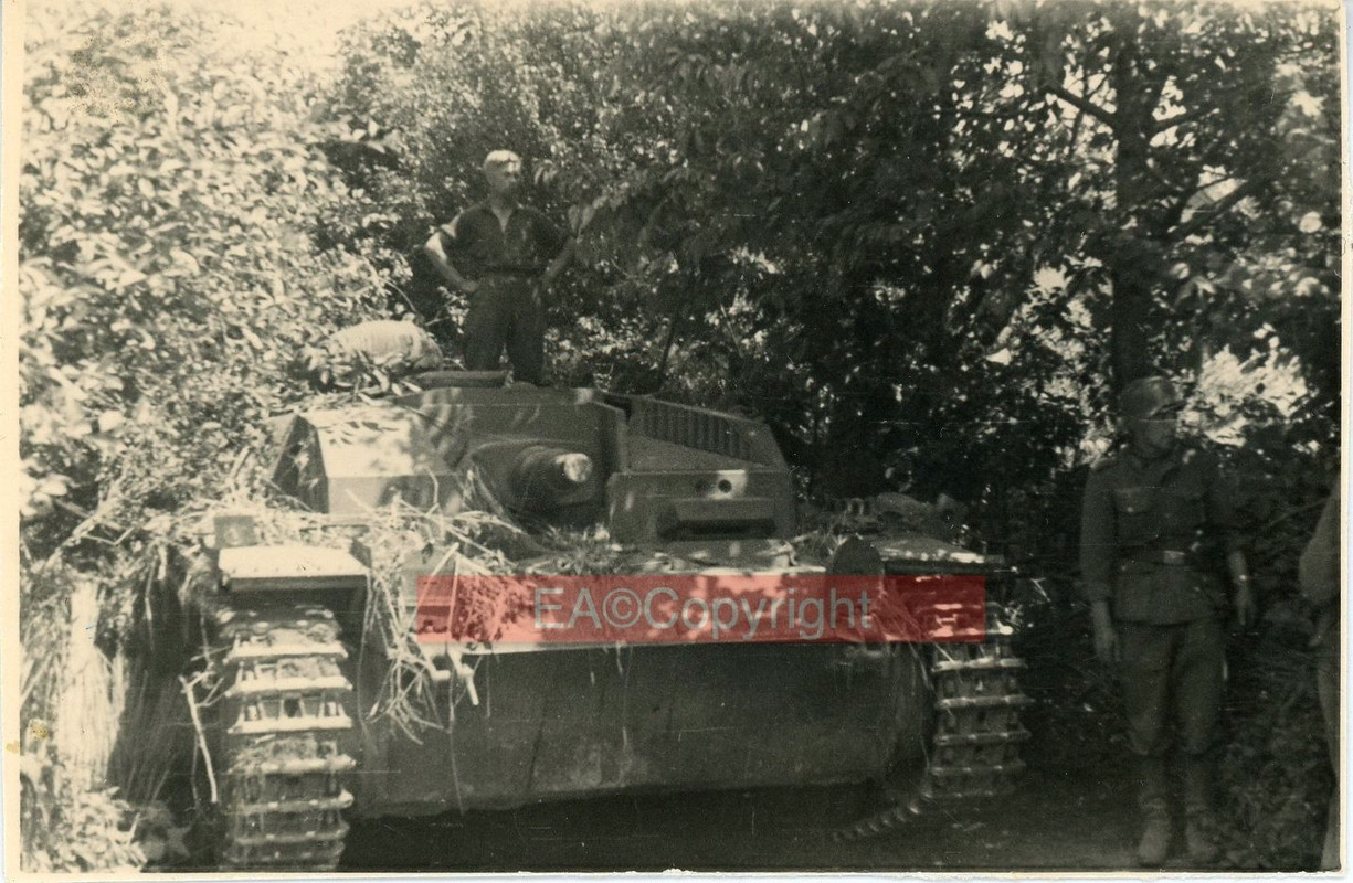 StuG Sturmgeschütz III Abt.184 Panzer Tank Foto