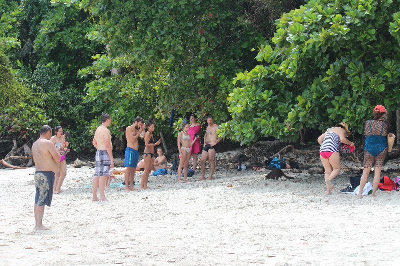 DIA 14: PARQUE DE MANUEL ANTONIO - DE TORTUGAS Y PEREZOSOS. COSTA RICA 2019 (37)