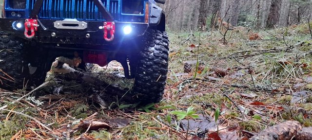 179565138_830576777550746_826211053237504304_n