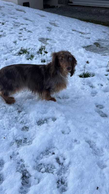 [Image: IMG-5089.jpg]