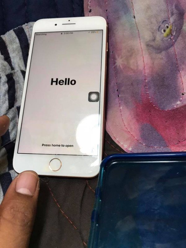 43742068-1848196698610307-8370532531350536192-n.jpg