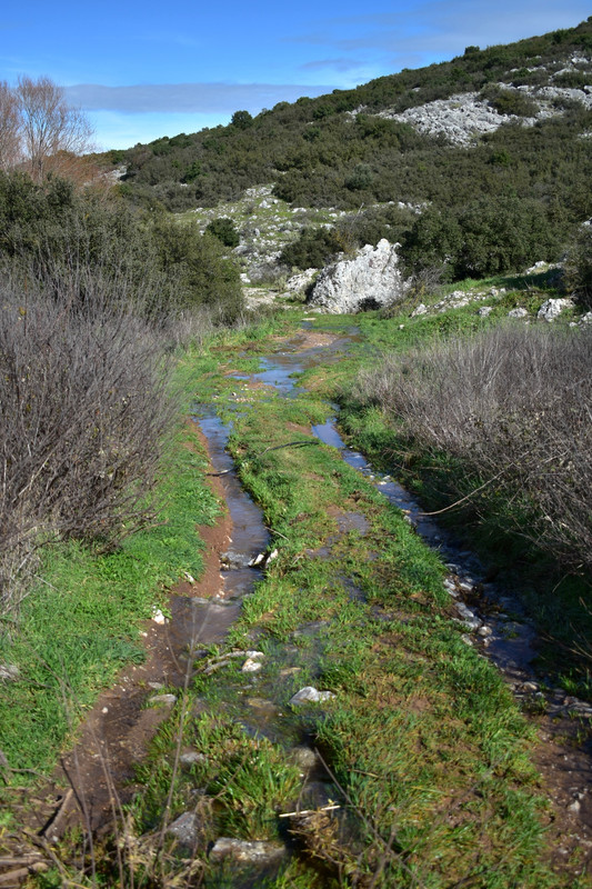 Πέτρινο γεφύρι Δαφνούλας (11)