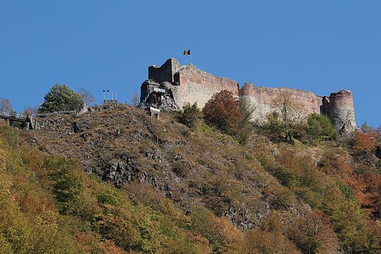 Slika