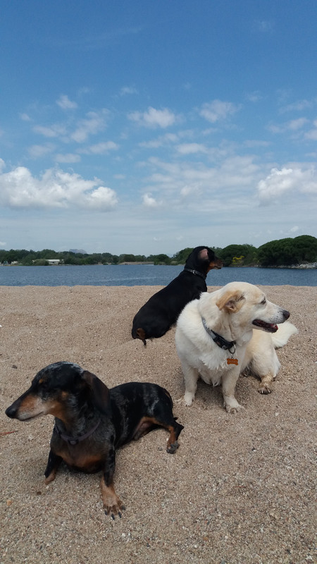 [Image: 20220530-114928.jpg]