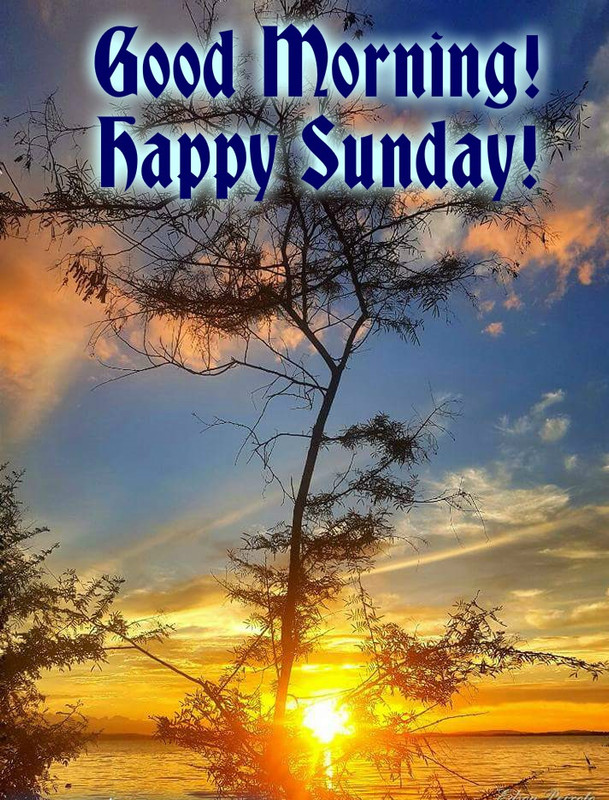 Good Morning and happy sunday 06