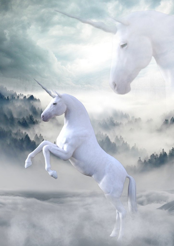 white-unicorn-1737897-1280.jpg