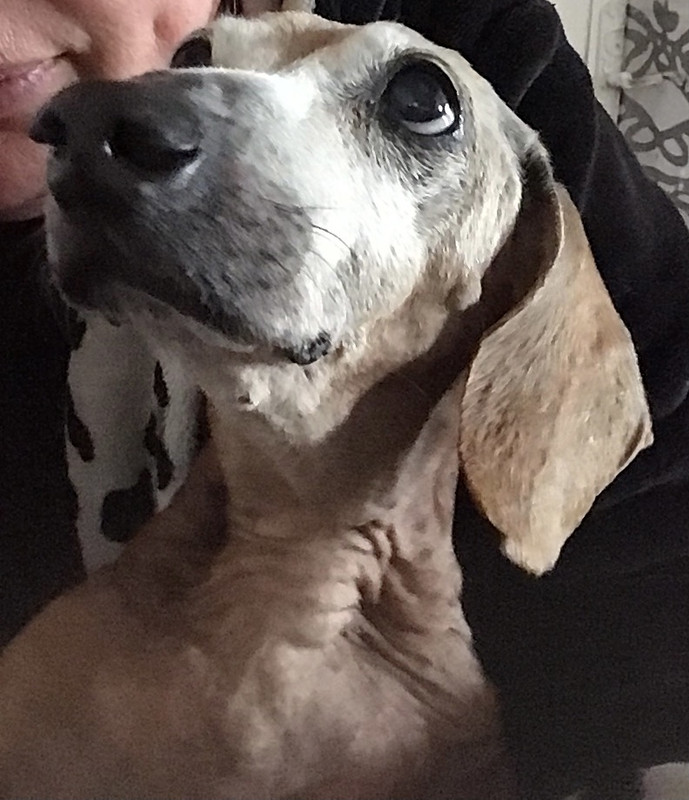 [Image: 3-D1-C3-E2-D-78-DB-4-F9-B-ACB9-63057-C2-C7-E30.jpg]