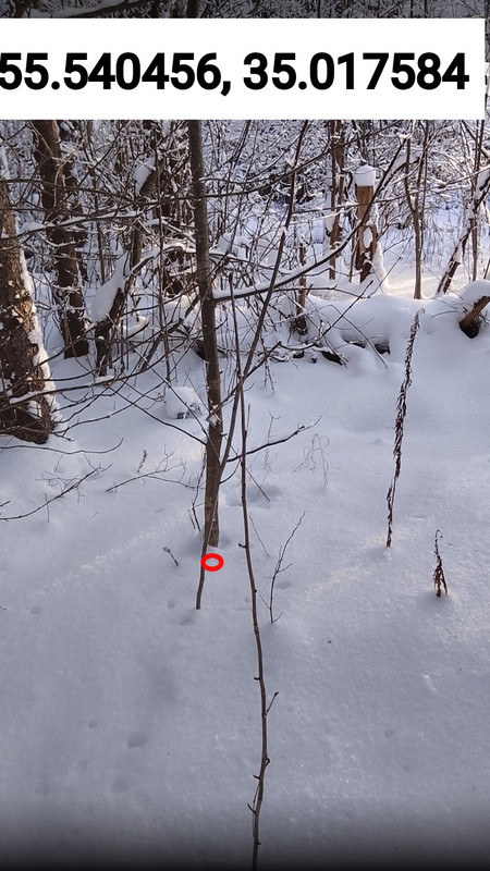 Screenshot 20260117 154005