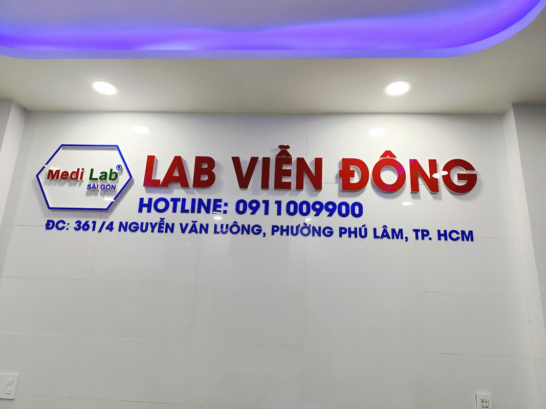 Hoạt động chuyên môn