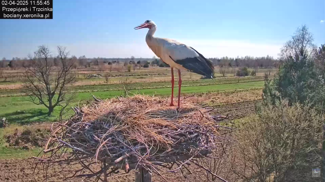 02042025krotkawizytabocka_11