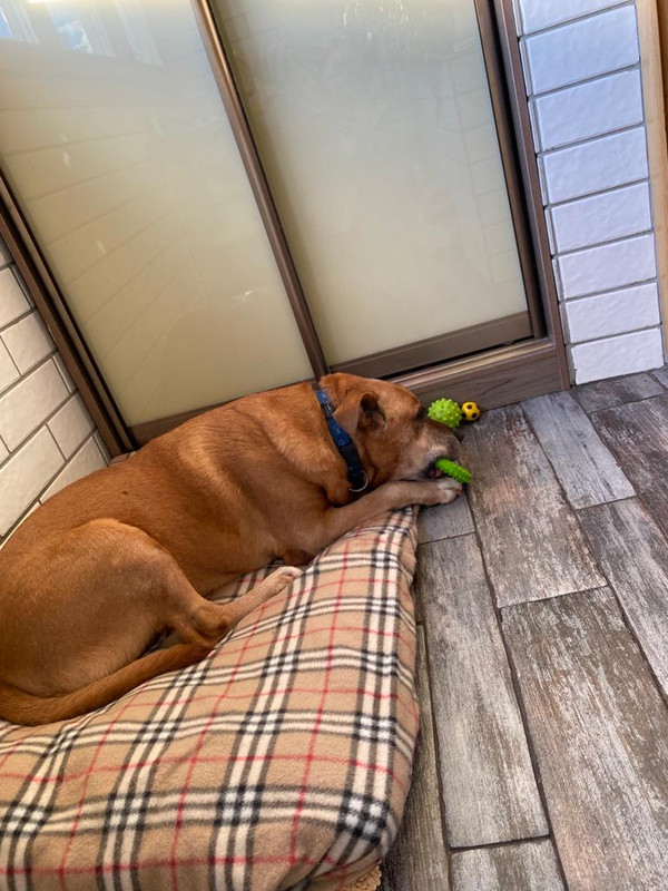 61FD190D-E575-4A78-A33C-6B6518823D22