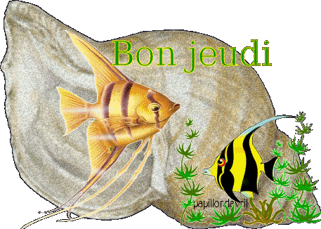 Jeudi 18