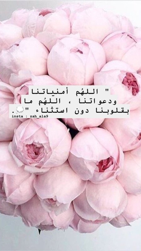 1AC07E3F-7F07-49BE-AEF6-3647895F4F1B