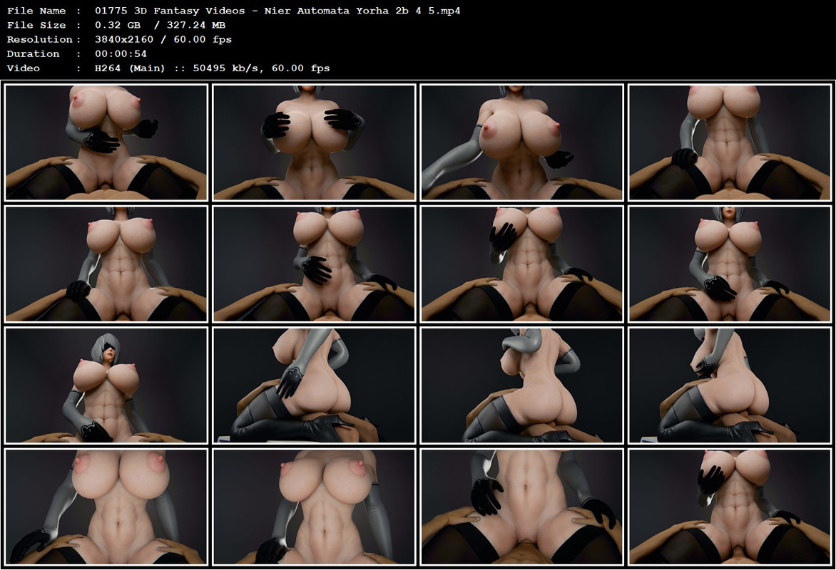 01775 3D Fantasy Videos - Nier Automata Yorha 2b 4 5.mp4