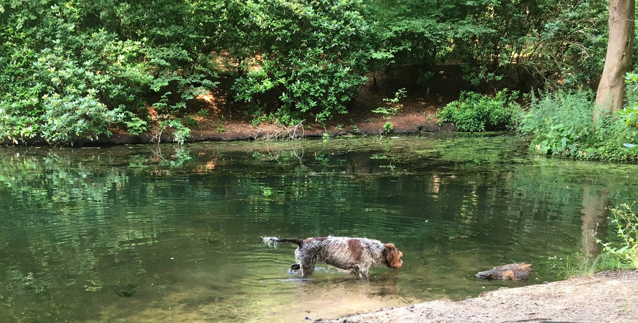 2024-18-07 Claire in het water IMG_3874 (002)