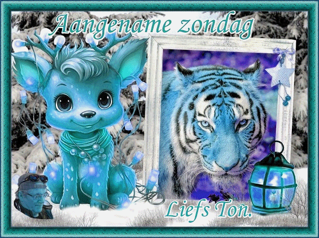 www.krabbelplaatjes.com