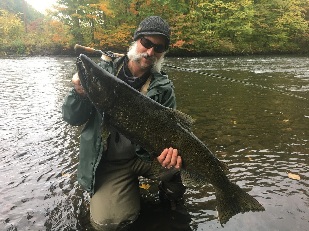 256D3910-1727-4AC7-8F00-B07C1D640C18