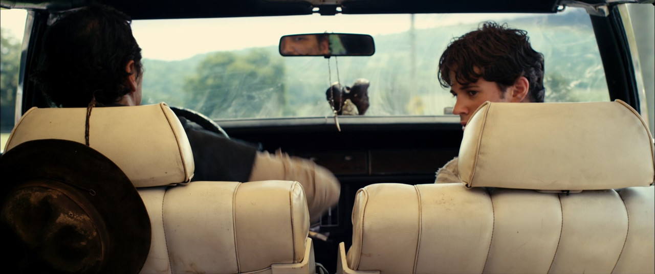 Stake Land (2010) (1080p BluRay x265 r00t)-1