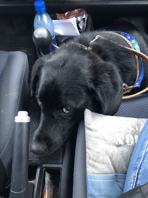 FEBA679E-B976-4847-A284-6DD7669232B6