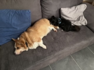 [Image: 48-ECDB2-E-D4-E5-41-C5-8452-D6798-E071101.jpg]