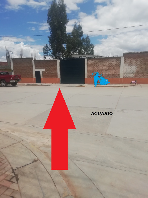 ACUARIO 1