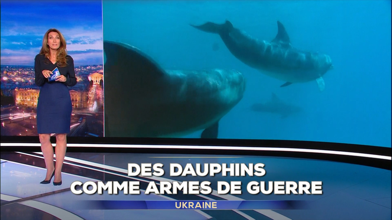 2022-11-04_20_00_TF1_Le-20h.mp4_snapshot_03.56.624
