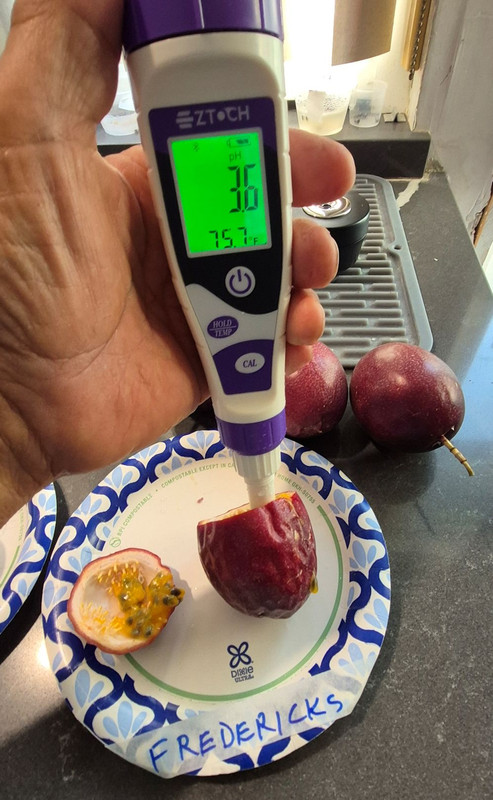 Taiwanese Purple Taste Pic103